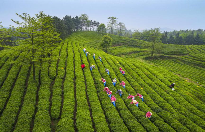 1668587302527036.png 640 (1).png